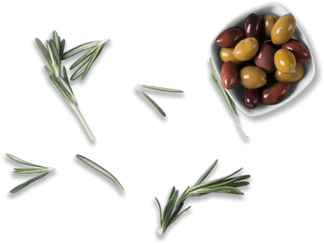 Kretarie Oliven